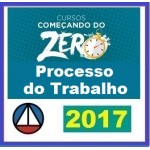 Processo do Trabalho - Processual - Começando do Zero 2017